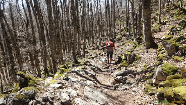 Ruta circular al pico Aitxuri o Aitzgurri, techo de Guipúzcoa en el País Vasco