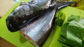 PAIS TEMPOYAK IKAN PATIN - karya ku : paridah ishak