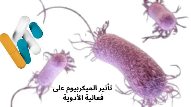 تأثير الميكروبيوم على فعالية الأدوية