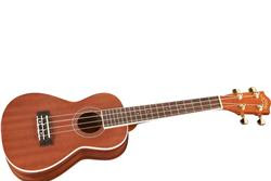 ukulele ukulele adalah alat musik petik sejenis gitar berukuran kecil