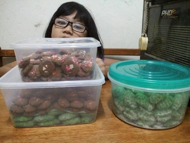 Biskut ulat bulu & biskut coklat