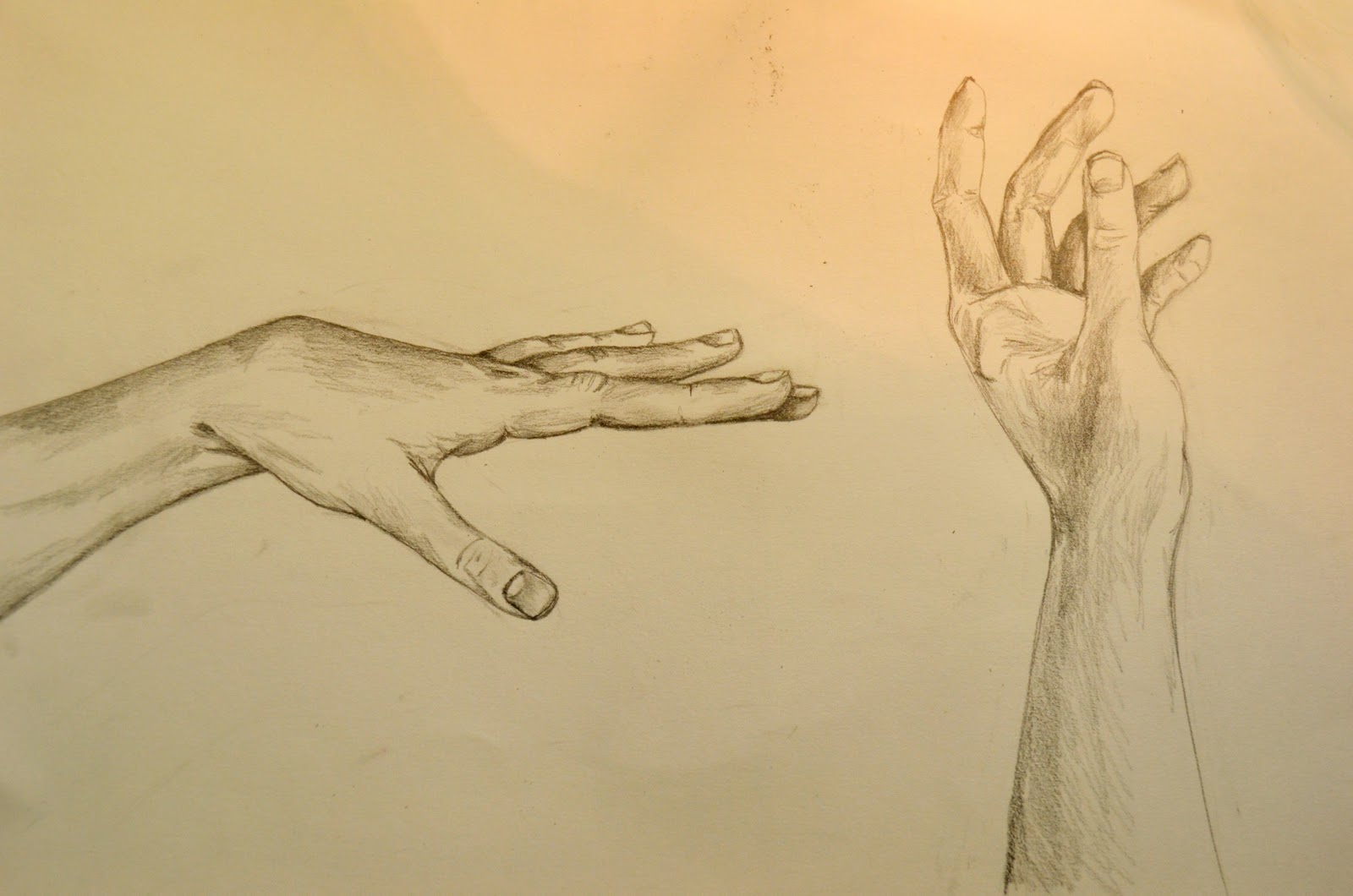 Studies of Hands and Feet