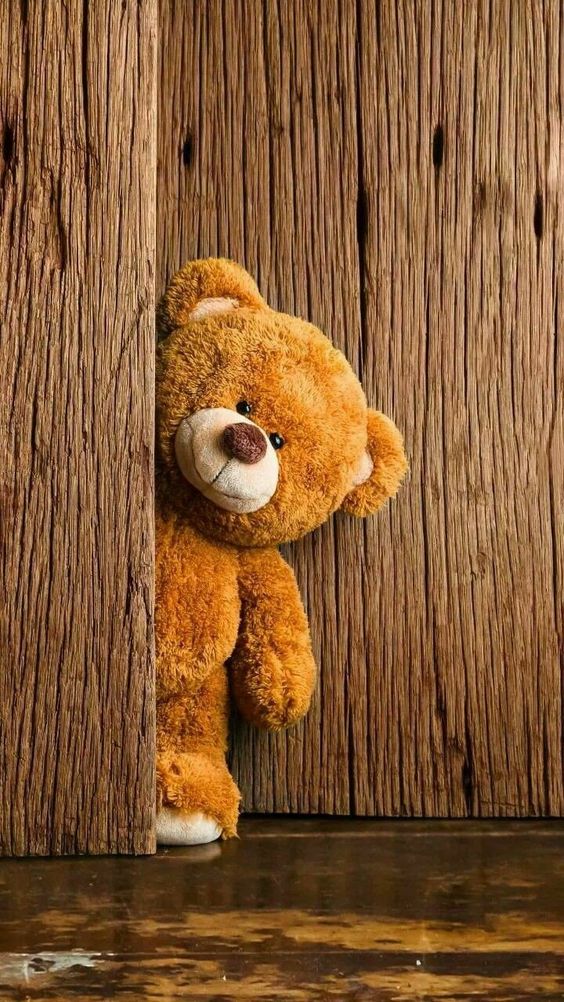Sweet Teddy pics, cute teddy bear photos, teddy for valentine day