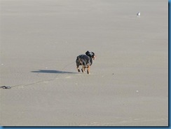 IMG_3768 (Small)