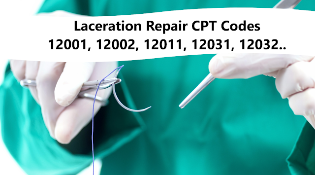 Laceration Repair CPT Codes 12001, 12002, 12011, 12031, 12032