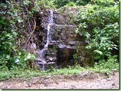 DSC06924