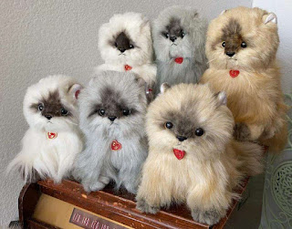 Six small furry cat plushies in neutral creams and grays.