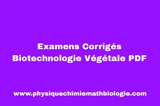 Examens Corrigés Biotechnologie Végétale PDF