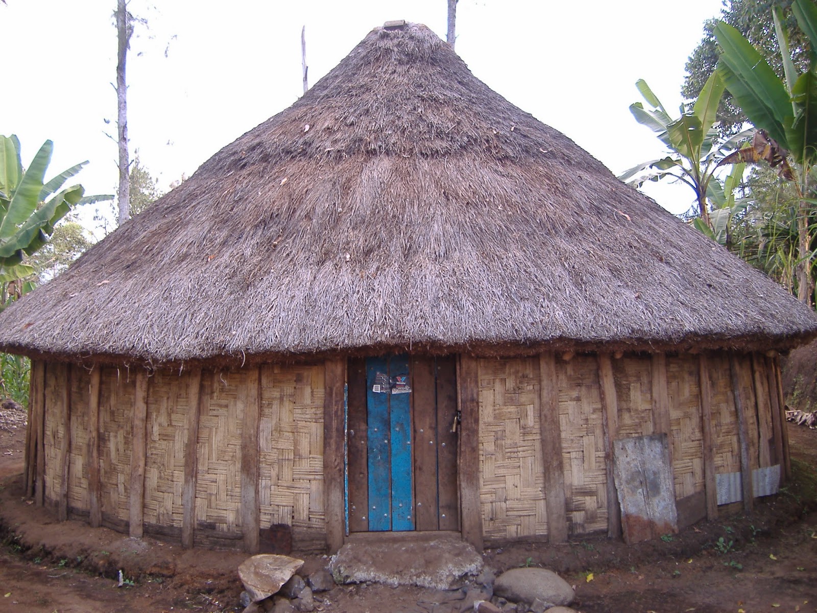 Rumah Adat Papua  Rumah Honai  Nama dan Gambar Rumah 