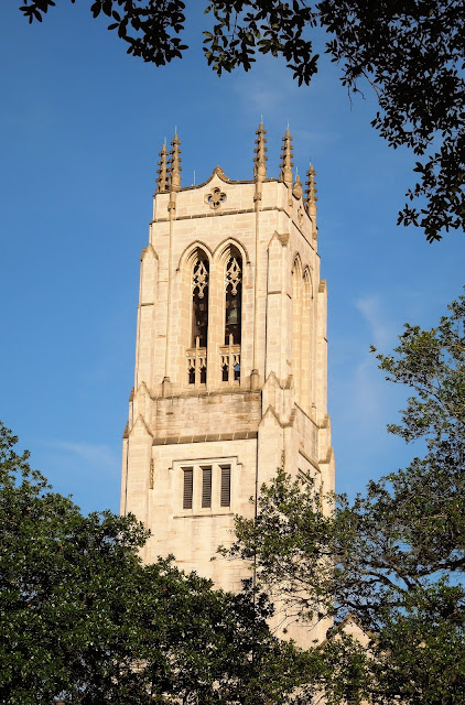 Church Tower framed by foliage - St Paul Methodist Church 