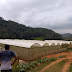 Secretaria de Agricultura do RJ trabalha para garantir a compra dos produtos da merenda escolar
