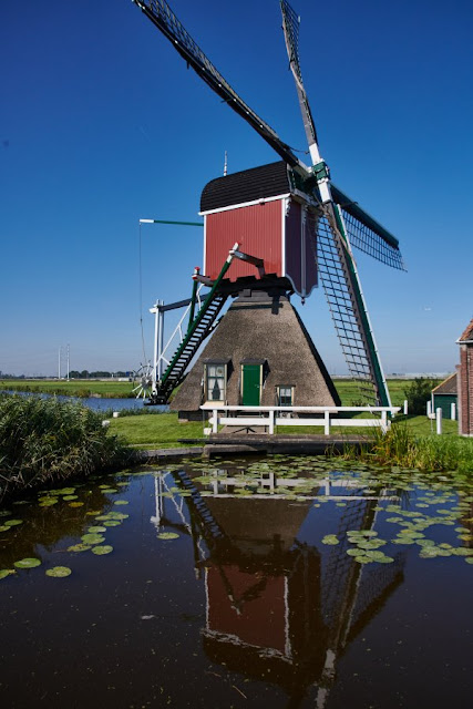 Groene hart van de Randstad