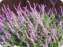 DSCN0002