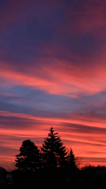 Beautiful Evening Sky, Sunset, Pink, Clouds, Trees