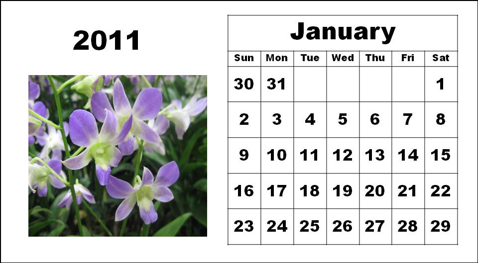 large january 2010 calendar. Big Wall instructions January