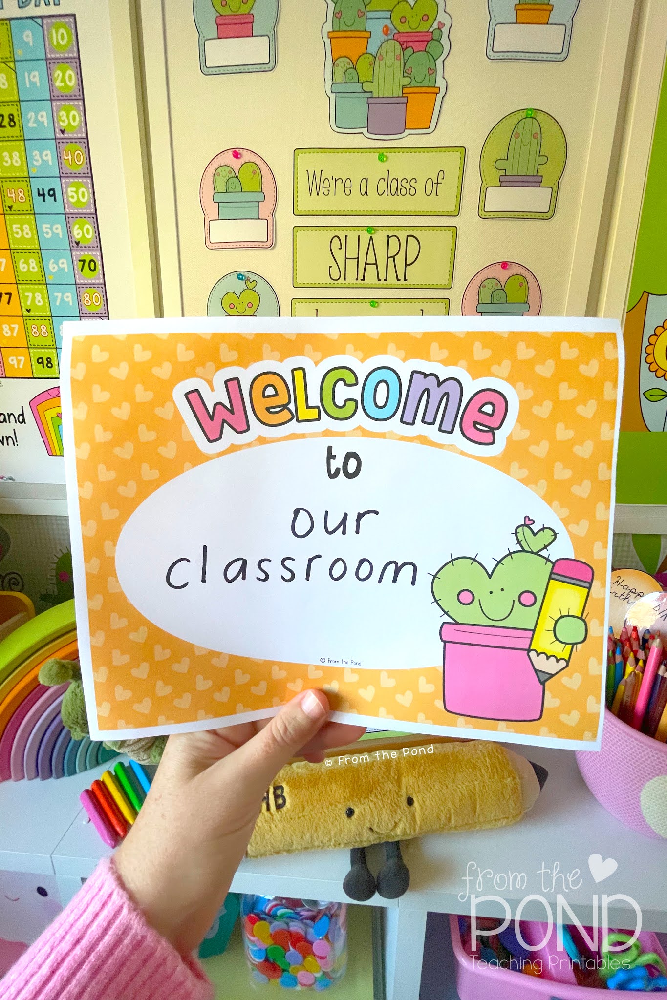 cactus classroom decor