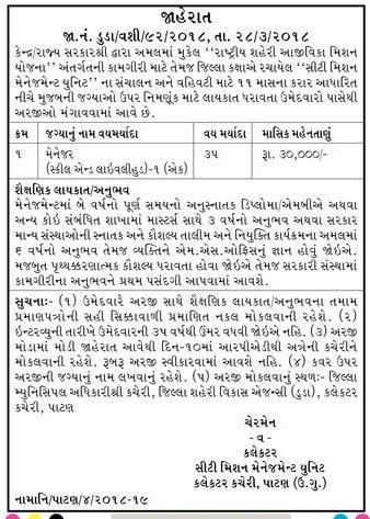 DUDA Patan Recruitment for Manager (Skill & Livelihood) Post 2018