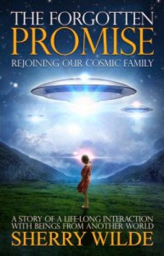 Ufo Over Fork Utah Jan 27 2011