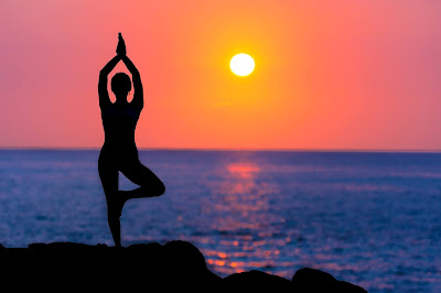 अष्टांग योग - ashtanga yoga