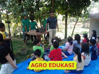 AGRO EDUKASI DI SENTUL