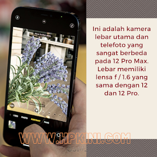 review iphone 12 pro max