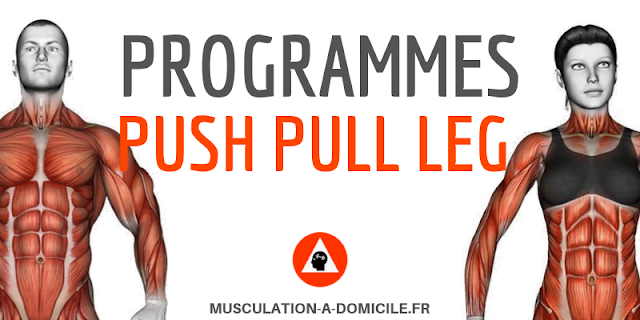 musculation-a-domicile_programme_musculation-debutant-poids-du-corps-haltere_push-pull-leg