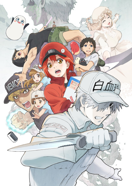 Hataraku Saibou!! S2