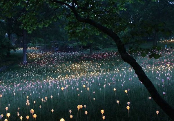 Bruce Munro Longwood Gardens