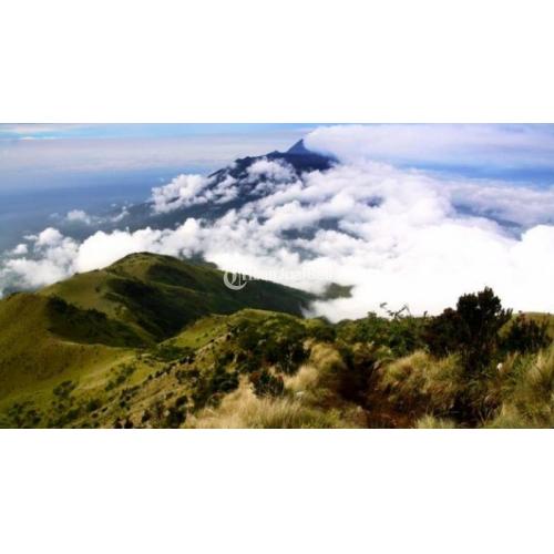 Mau Lihat Warung Tertinggi di Jawa? Yuk Ikut Mendaki Gunung Lawu, 15-16 Oktober 2016!