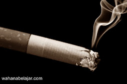 10 Manfaat Rokok Bagi Kesehatan