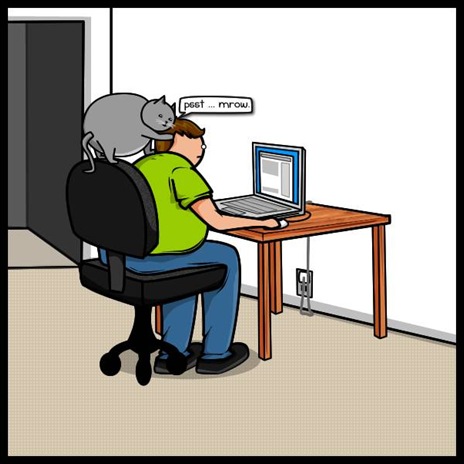 cat vs internet