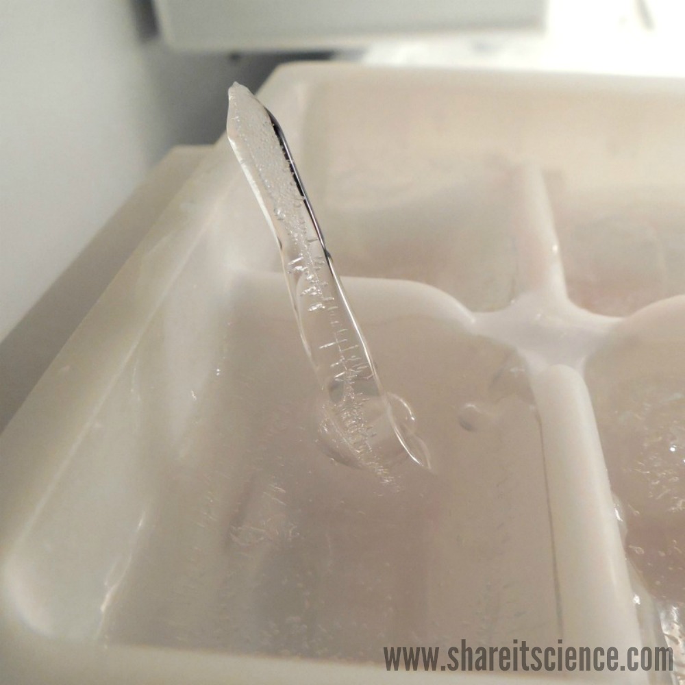 Share It Science Ice Science Grow Your Own Ice Spikes