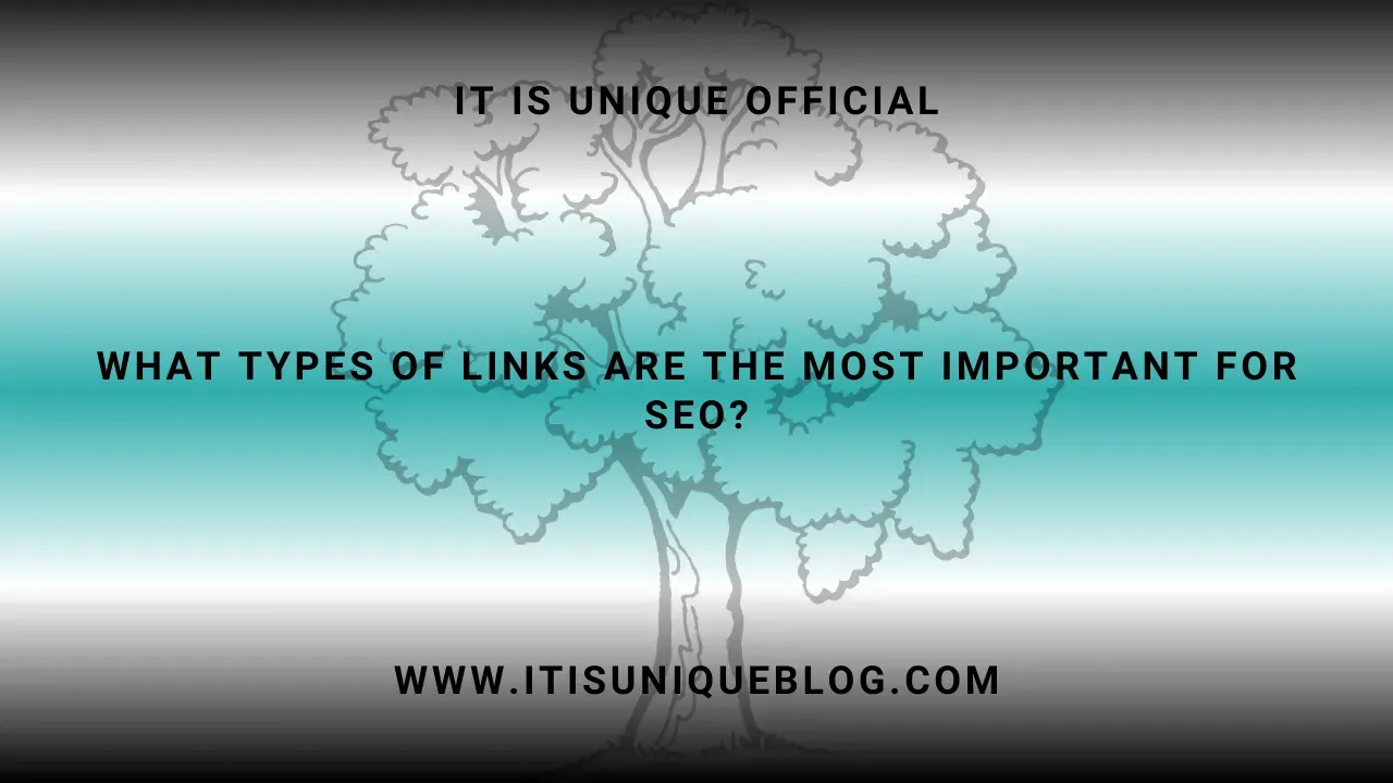 What types of links are the most important for SEO?