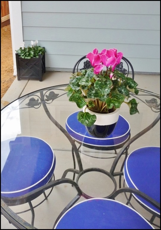 New house pumpkins and flowers (4) (600x800)
