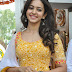 Rakul Preet Singh Pandaga Chesko Film Launch Photos