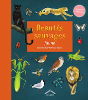 Beautés sauvages, faune, d'Anne Beaudier et Rebecca Romeo  Editions Circonflexe