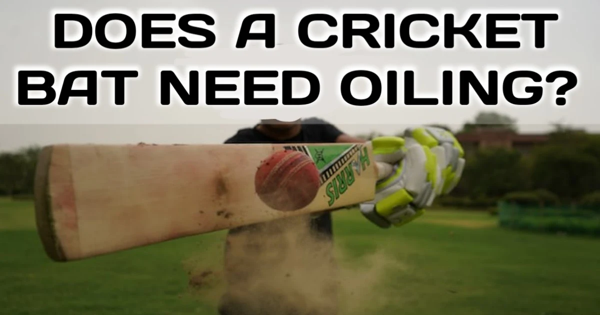 Does-A-Cricket-Bat-Need-Oiling-or-Not