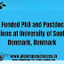 Fully Funded PhD and Postdoctoral Positions at University of Southern Denmark, Denmark