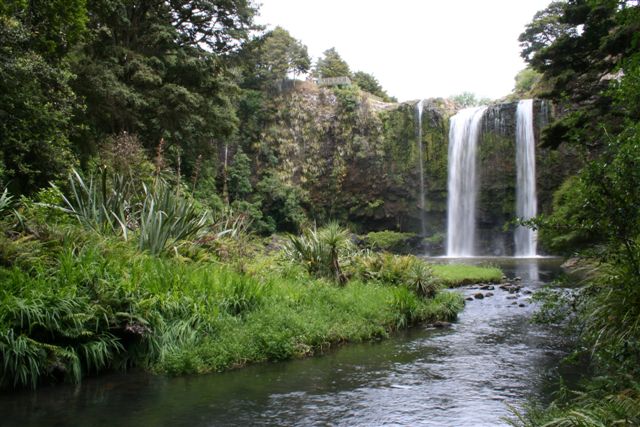 Whangarei Falls Tikipunga