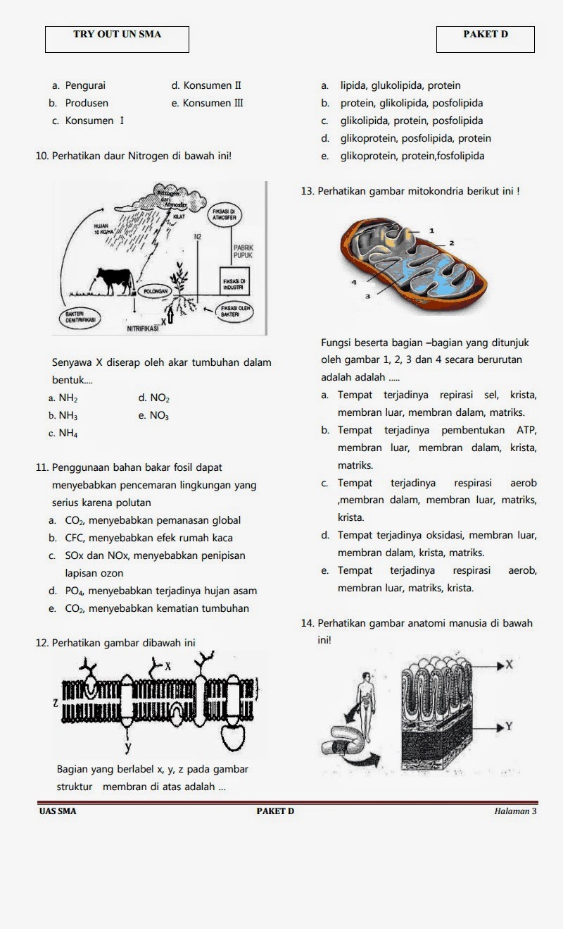 BIOLOGI GONZAGA: PREDIKSI UN BIOLOGI 2014 A