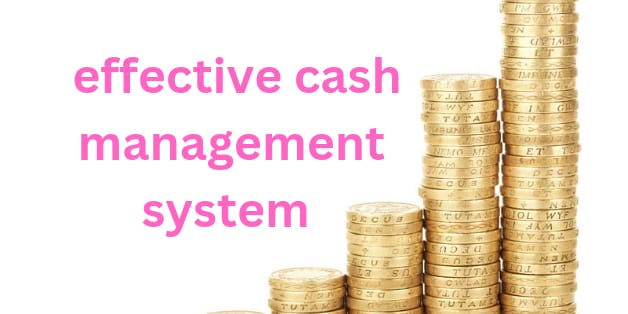 What is the cash system in cash management?