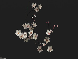 Flowers With Blak Screen