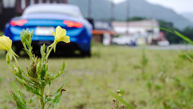 Alpine A110