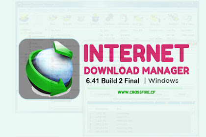 Internet Download Manager (IDM) 6.41 Build 3