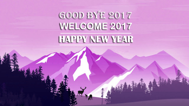 Good bye 2017 new year images