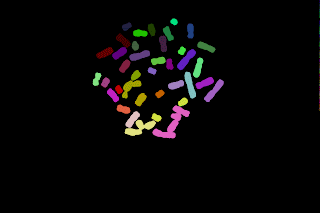 p q and chromosomes of parts with Metaphase DIP4FISH: chromosomes segmentation ImageJ p q and chromosomes of parts with Metaphase DIP4FISH: chromosomes segmentation ImageJ