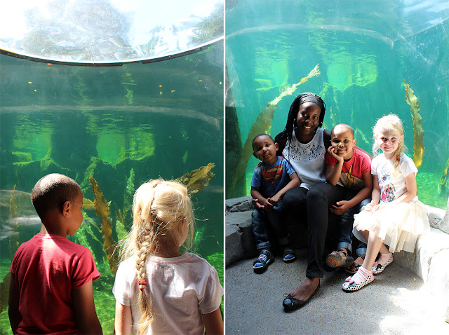 underwater-aquarium-sealife-weymouth-kids-family-fun-todaymyway.com