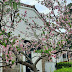 Aires de Primavera