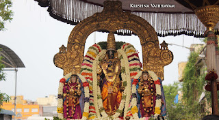 Ammavasai,Vaigasi, Purappadu,Video, Divya Prabhandam,Sri Parthasarathy Perumal, Triplicane,Thiruvallikeni,Utsavam,