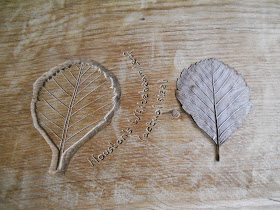 houston's whitebeam